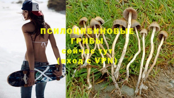 ешки Абинск
