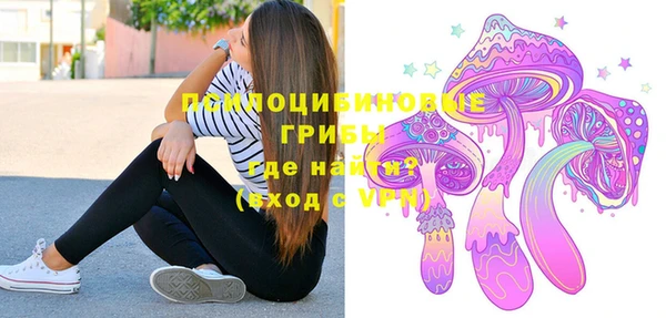 бошки Абаза