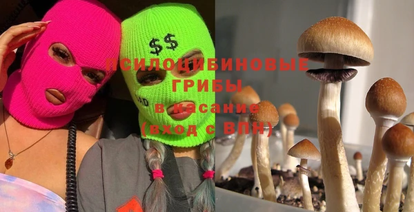бошки Абаза