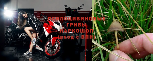 ешки Абинск