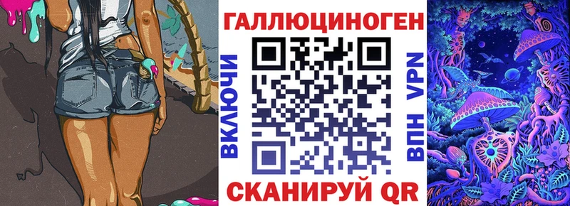 гидра вход  Старая Русса  Галлюциногенные грибы Psilocybine cubensis 
